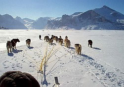 Nunavut, sur la banquise en tra�neau � chiens