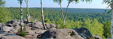 For�t de Fontainebleau, sur les traces des peintres