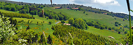 Weekd end Auvergne, au pays de la fourme d�Ambert
