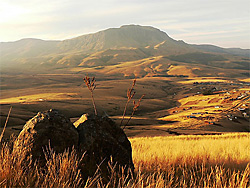 afrique du sud par Gregory Citerneschi