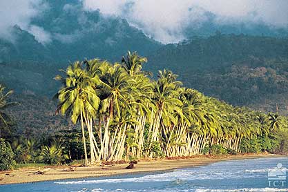 La côte dans la province de Limon.