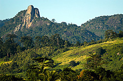 cote d ivoire par Denis Holveck