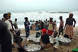 ghana par Olive Montel