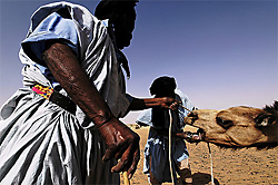 mauritanie par Marc Demoulin