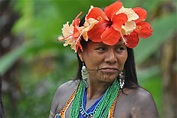 panama par sagapanama