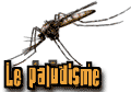Le paludisme
