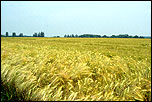 Val d'Oise &copy; Anne-Marie Minvielle