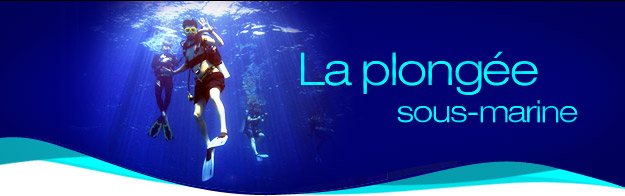 La plong�e sous-marine