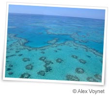 Plong�e en Australie