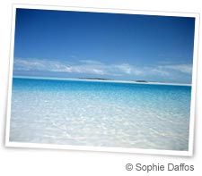 Plong�e aux Bahamas