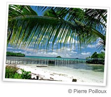 Plong�e en Indon�sie
