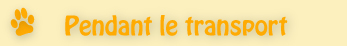Pendant le transport