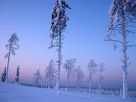 Laponie finlandaise © Nathalie Meaulard