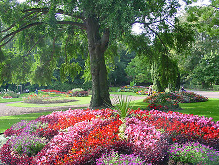 Jardin public de Saint-Omer © Ville de Saint-Omer, service Vah